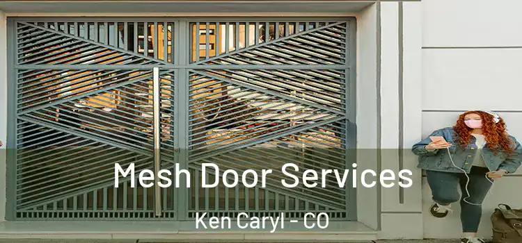 Mesh Door Services Ken Caryl - CO